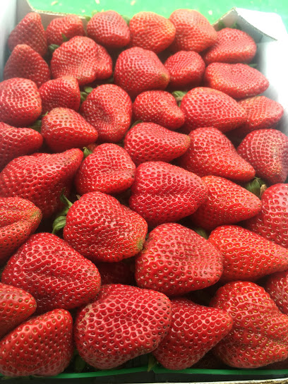 Thacker Berry Farms - Tustin Stand