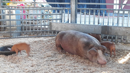 Centennial Farm
