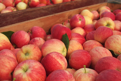 Rootwood Cider Tasting Room at the Orchard