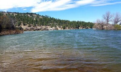Mimbres