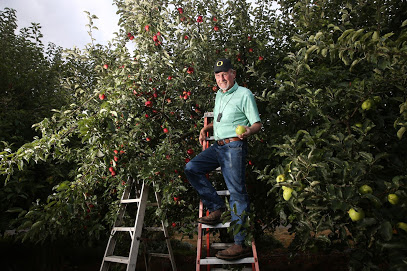 Johnson Vegetable Farms
