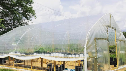 Spencer Creek Farm