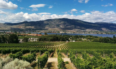 NK'MIP Cellars