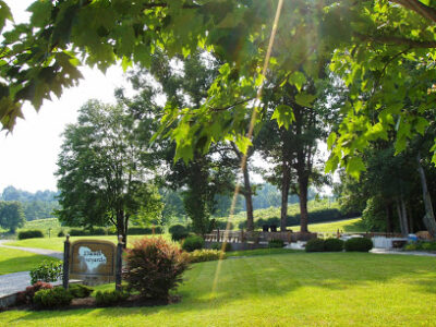 Daniel Vineyards
