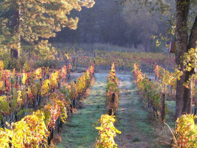 Clos Saron