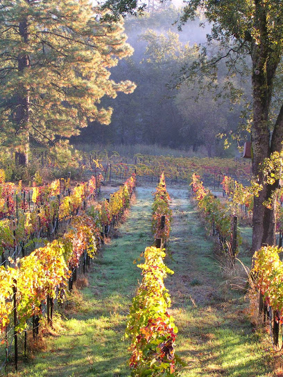 Clos Saron
