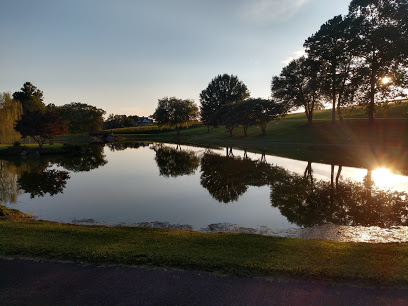 Yadkin Valley Wine Tours