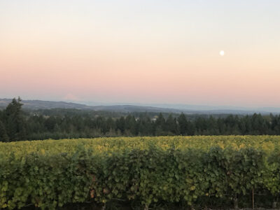 Ardiri Winery & Vineyards