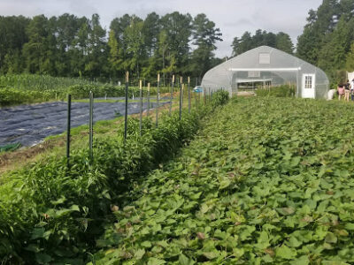 Duke Campus Farm