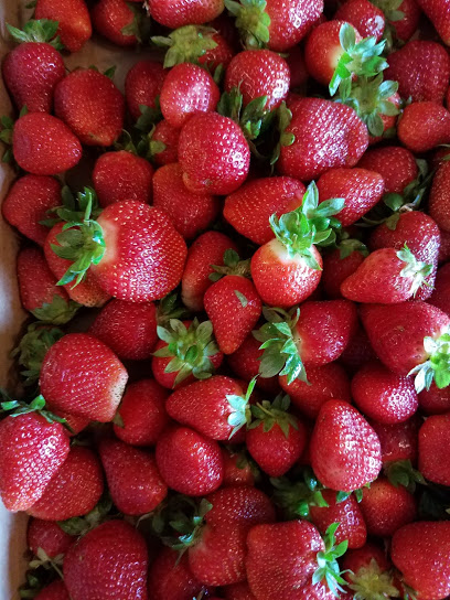 Wild Things Farm