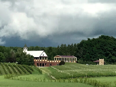 South River Vineyard