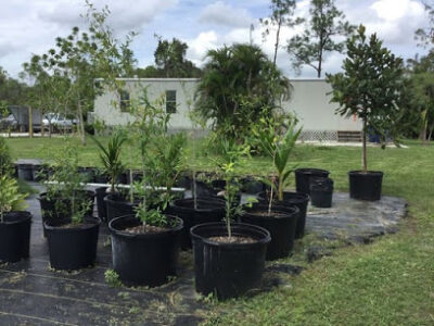 Johnsons Farms FL Inc