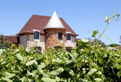 Messina Hof Hill Country Winery