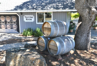 Convergence Vineyard