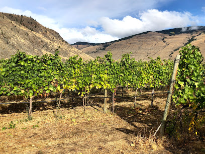 Orofino Winery