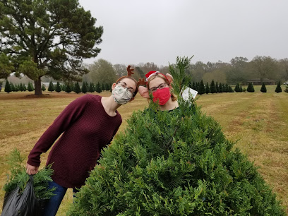 Weaver's Christmas Tree Farm