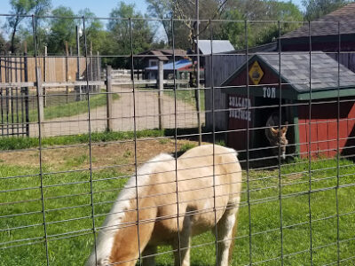 Carousel Acres, inc.