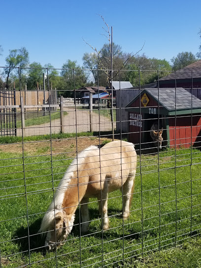 Carousel Acres, inc.