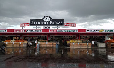 Sterino Farms