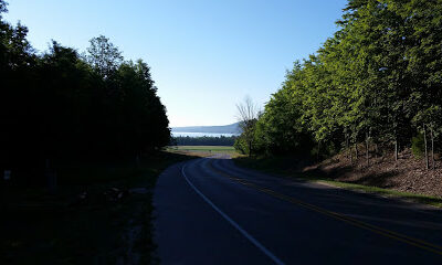 Isidore's Choice Vineyard