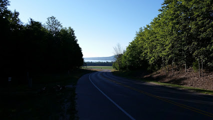 Isidore's Choice Vineyard