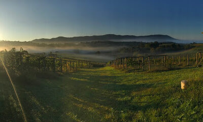 Beliveau Farm Winery