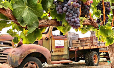 Besson Family Vineyards