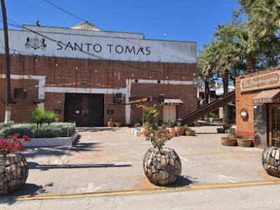 Bodegas de Santo Tomás S,A. de C.V.