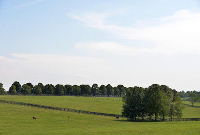 Stonestreet Farm
