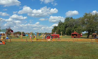 Windy Acres Farm