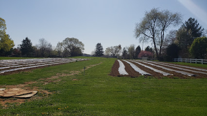 York Fresh Food Farm