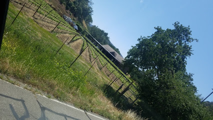 Moss Creek Winery