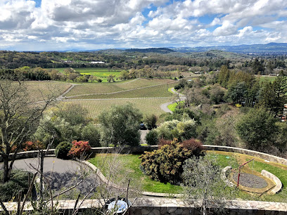 Palmaz Vineyards