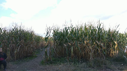 DuBois Farms Corn Maze