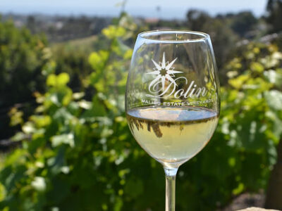 Dolin Malibu Estate Vineyards