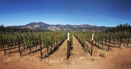 The Vineyardist