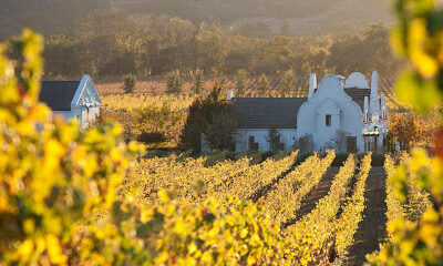 Chimney Rock Winery