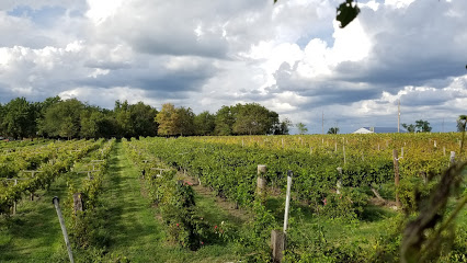 Holy Field Vineyard & Winery