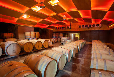 Baja Winery Tours