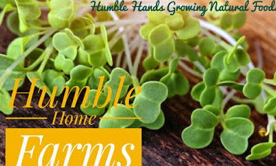 Humble Home Farms
