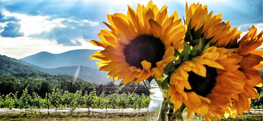Moss Vineyards
