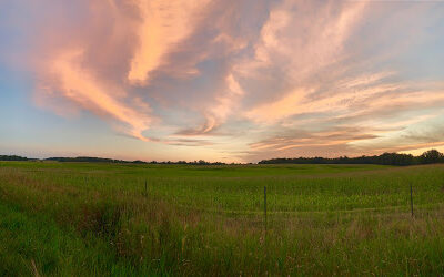 Mill Creek MetroParks Farm