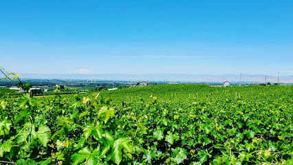 Two Mountain Winery