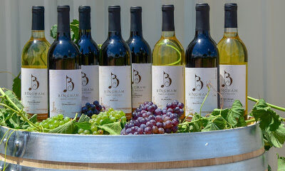 Bingham Family Vineyards Fredericksburg