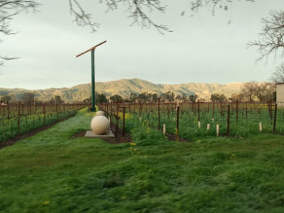 Beckstoffer Vineyards
