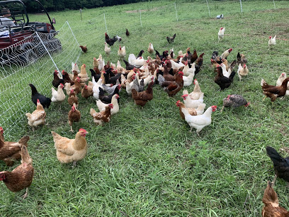 Sheraton Park Farms