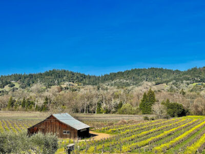 Capo Creek Wine Cave