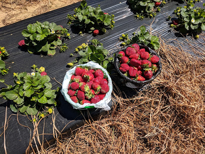 Elliott Farms