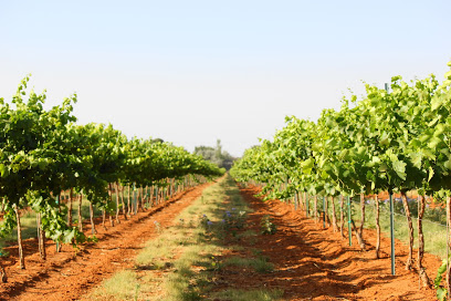 Reddy Vineyards