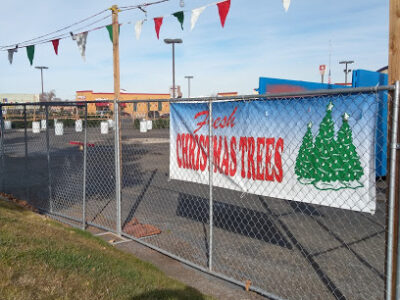 Heritage Christmas trees
